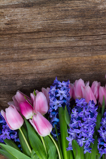 hyacinths and tulips - Фото, изображение