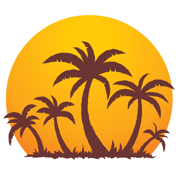 Palmuja ja kesän auringonlasku
 - Vektori, kuva