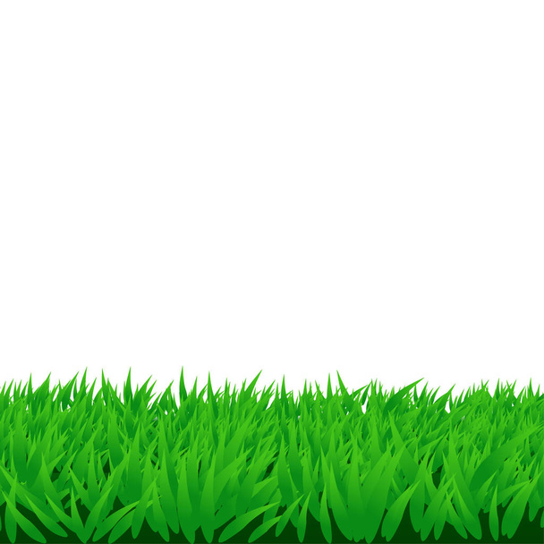 zöld fű, elszigetelt - Vektor, kép