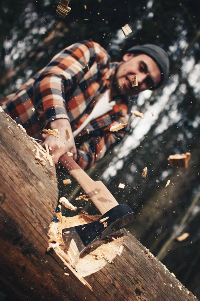 Serious lumberjack in a plaid ruach and hat is chopping a big tree with an ax - Foto, afbeelding