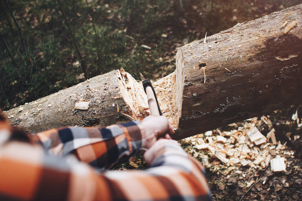 Strong woodcutter is going to cut a tree in the wood with a sharp ax - Foto, immagini