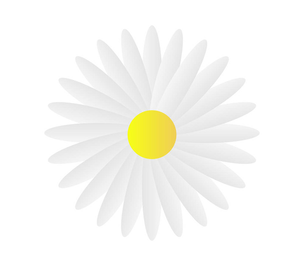 Pictogram bloem daisy geïllustreerd - Vector, afbeelding