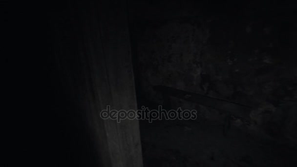 Point of view man with flashligh look around in dark empty room - Séquence, vidéo