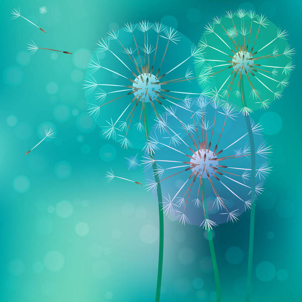 realistic dandelion with flying buds - Vector, Image