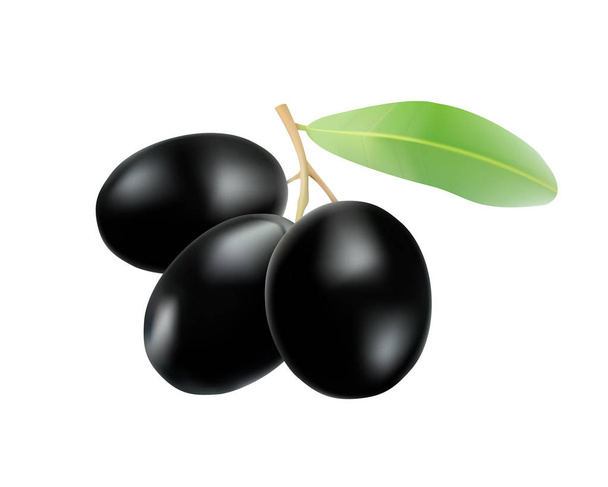 Aceitunas negras con hojas. Ilustración vectorial fotorealista
 - Vector, imagen