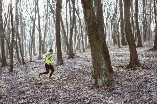 Žena mladý běžec běží v lese - Fotografie, Obrázek