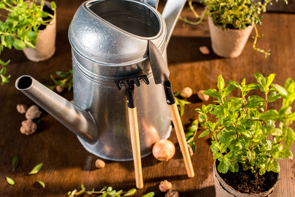 watering can and garden tools  - Foto, Imagem