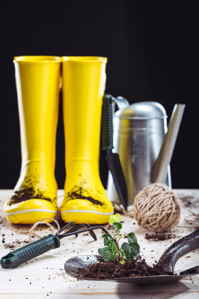 Rubber boots and garden tools  - Foto, Bild