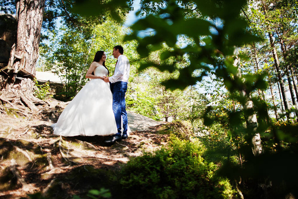 Lovely wedding couple at amazing landscapes with rock Dovbush, C - Photo, image