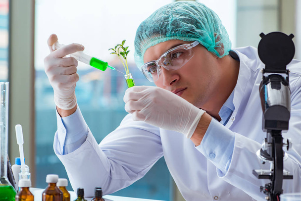 Biotechnologie-Wissenschaftler im Labor - Foto, Bild