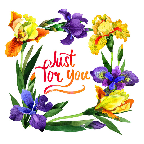Marco de flores de iris de flor silvestre en un estilo de acuarela aislado
. - Foto, Imagen