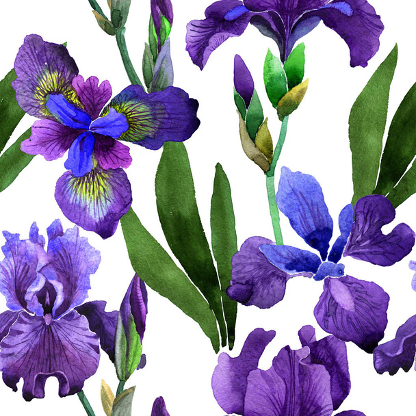 Wildflower iris flower pattern in a watercolor style isolated. - Foto, Bild