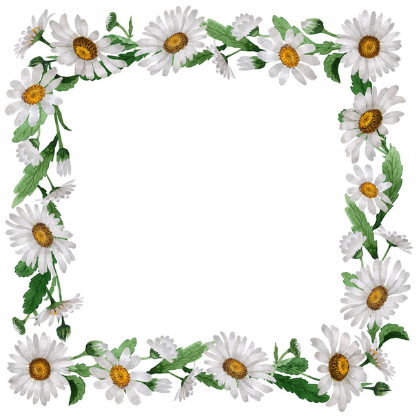 Wildflower chamomile flower frame in a watercolor style isolated. - Fotografie, Obrázek