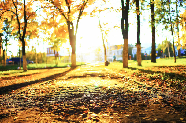 Sunny weather in autumn park - Foto, afbeelding