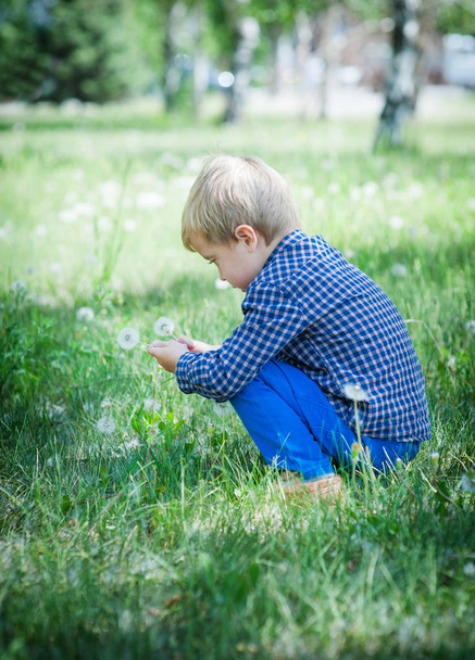 Cute little boy blowing on dandelion - Foto, imagen
