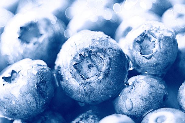 fresh berries, blueberries - Valokuva, kuva