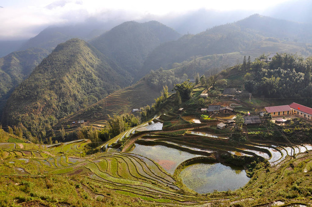 Terraced rice field in Northern Vietnam - Valokuva, kuva