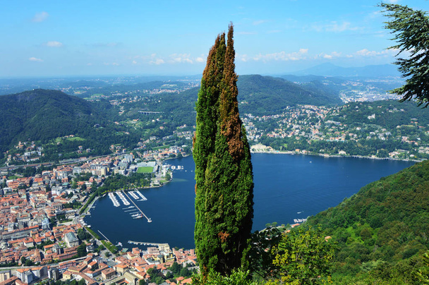 atemberaubende Aussicht auf den Comer See von Brunate, Panorama auf den See und die Stadt Como mit grünem Baum auf der rechten Seite und Bergen auf dem Boden, Como Sommer 2016, Lombardei, Italien - Foto, Bild