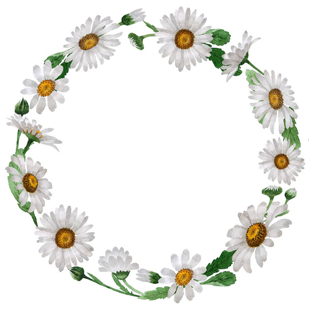 Wildflower chamomile flower wreath in a watercolor style isolated. - Φωτογραφία, εικόνα