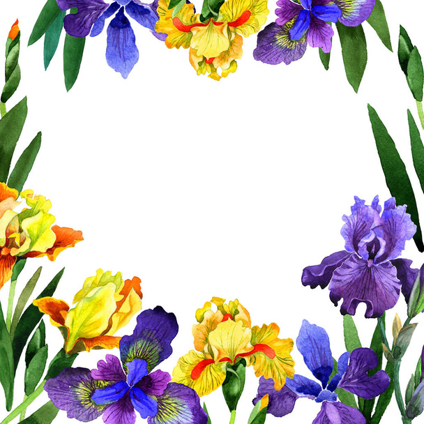 Wildflower iris flower frame in a watercolor style isolated. - Photo, image