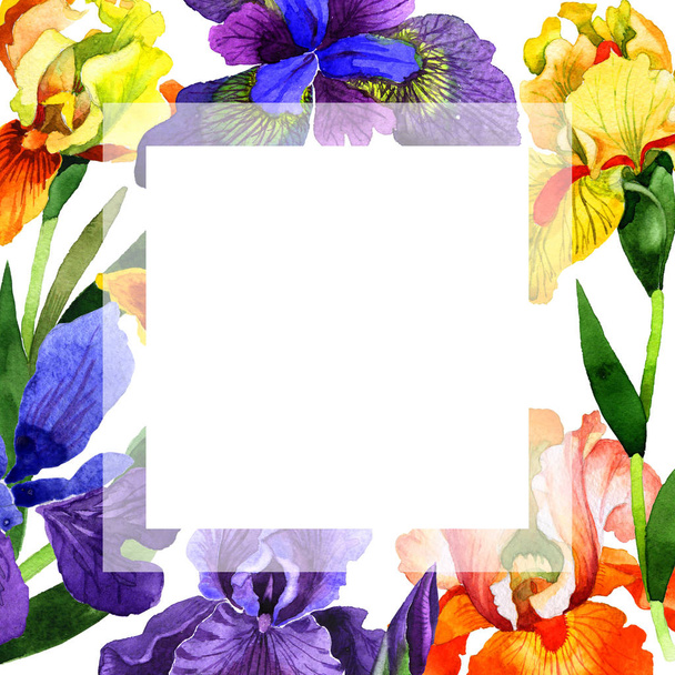 Wildflower iris flower frame in a watercolor style isolated. - Photo, Image
