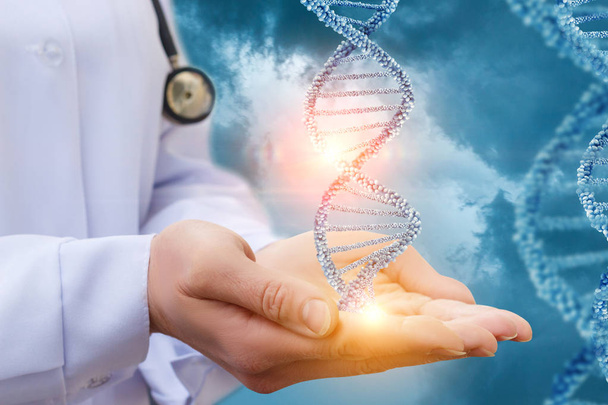DNA in the hands of a doctor. - 写真・画像