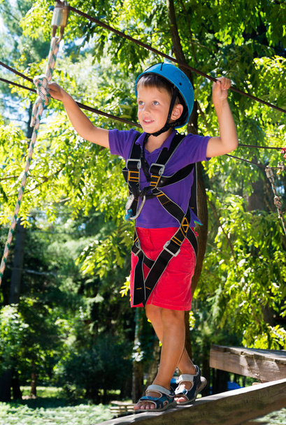 Five year boy on rope-way in forest - Zdjęcie, obraz