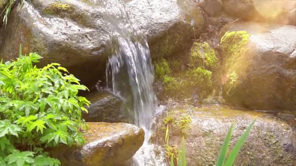 Petit ruisseau clair qui coule sur des pavés
 - Séquence, vidéo