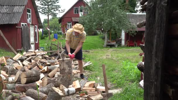 Un jeune paysan prépare du bois de chauffage biologique sur fond de maisons rurales. 4K
 - Séquence, vidéo