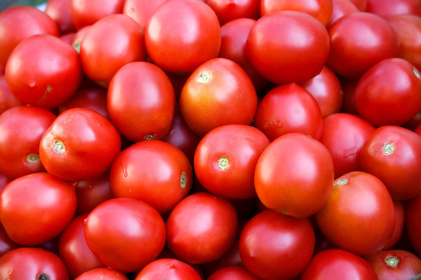 Tomato - Fotografie, Obrázek