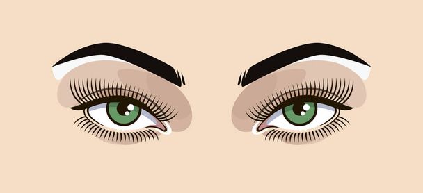 Olhos verdes, ilustração vetorial, mulher, tons de flash
. - Vetor, Imagem