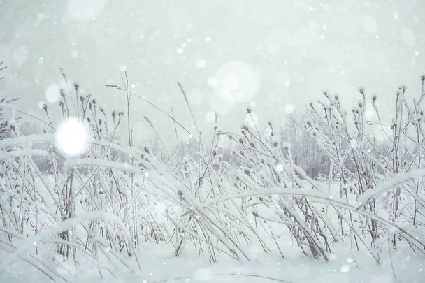 Snow in the field with grass - Foto, Imagen
