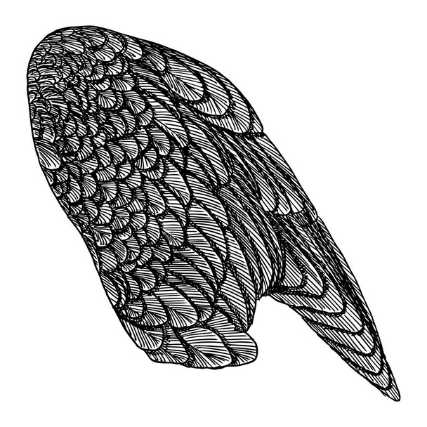 Hand drawn wing sketch - Vektör, Görsel