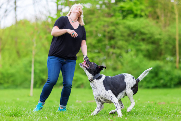 woman plays with her dog outdoors - Фото, зображення