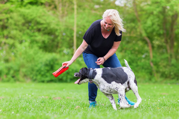 woman plays with her dog outdoors - Φωτογραφία, εικόνα