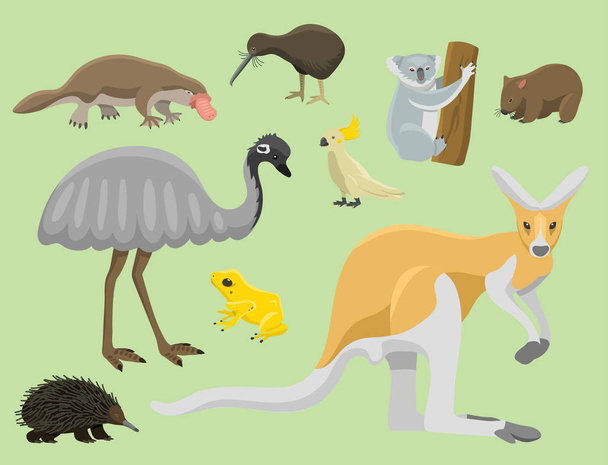 Avustralya vahşi hayvanlar popüler doğa karakterler düz stil memeli koleksiyonu vektör çizim karikatür. - Vektör, Görsel