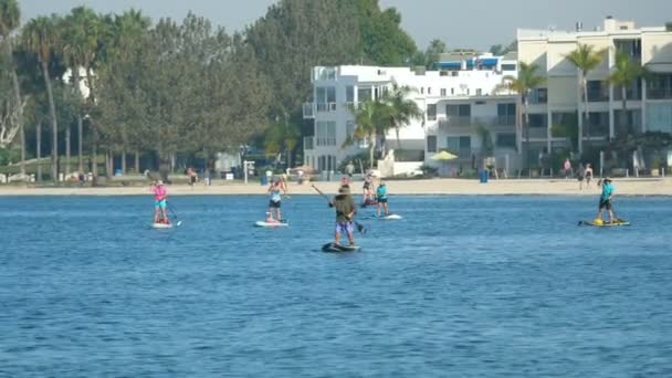 Video of paddleboarding in San Diego - Footage, Video