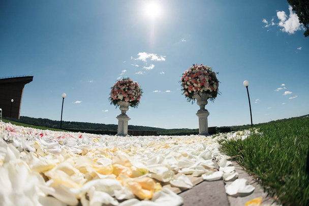 Mooie bruiloft ceremonie decoratie ontwerpelementen met verse bloemen samenstelling, bloemdessin, bloemblaadjes rozen en stoelen. - Foto, afbeelding
