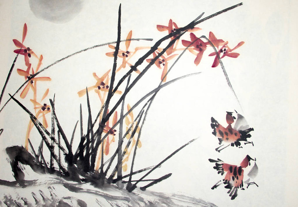 Chinese traditional painting of birds - Photo, image