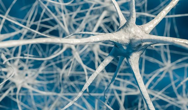 3D obrázek vykreslený neuronů v mozku. - Fotografie, Obrázek