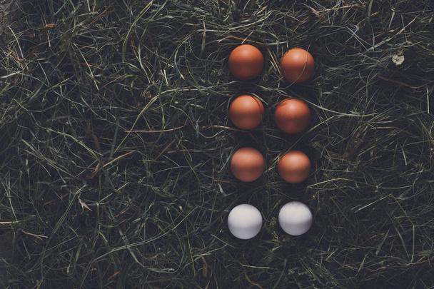 Φρέσκο κοτόπουλο καφέ αυγά σχετικά σανός, οικολογική γεωργία φόντο - Φωτογραφία, εικόνα