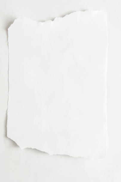 Hoja rasgada, pedazo de papel rasgado en blanco
 - Foto, imagen