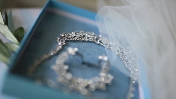 Gioielli da sposa. Orecchini, collane, anelli, orologi
 - Filmati, video