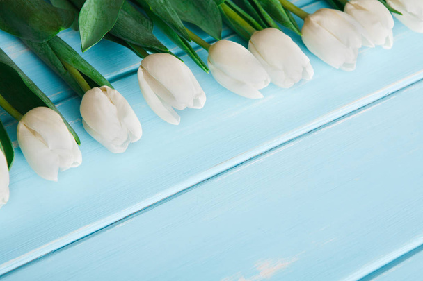 White tulips on blue wood background, copy space - Photo, Image