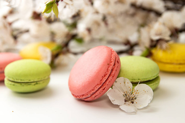 Macarons kayısı çiçek açması branc karşı beyaz arka plan üzerinde - Fotoğraf, Görsel