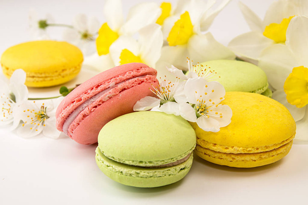 Macarons on white background against of narcissus and cherry blo - Photo, Image