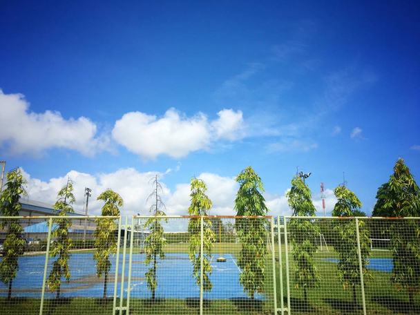 Όμορφο μπλε ουρανό στο γήπεδο μπάσκετ άθλημα με δέντρο φράχτη φόντο το καλοκαίρι στην Ταϊλάνδη - Φωτογραφία, εικόνα