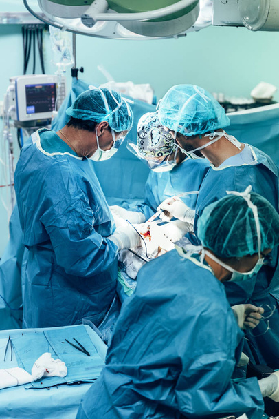 Team of Surgeons Operating. - Фото, изображение