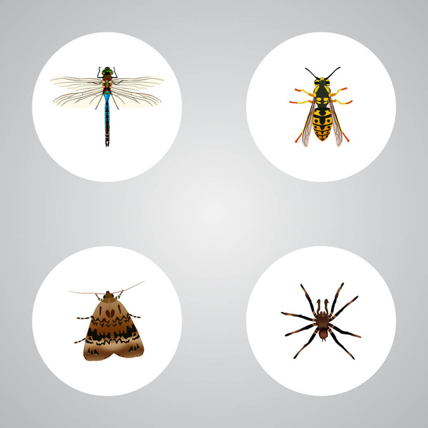 Realistische Juffers, vlinder, spinachtige en andere vectorelementen. Set van Hexapod realistische symbolen bevat ook Dragonfly, vlinder, Arachnid objecten. - Vector, afbeelding