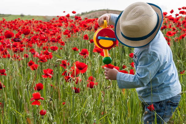 Niño regando flores en un campo de amapola
  - Foto, Imagen